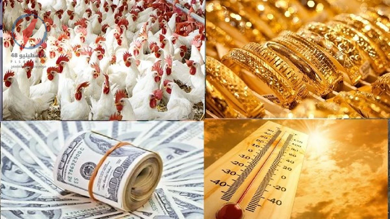 تفاصيل تقنين الأحمال الكهربائية لمدة أربع ساعات وأبرز تطورات الأسعار والطقس الأحد